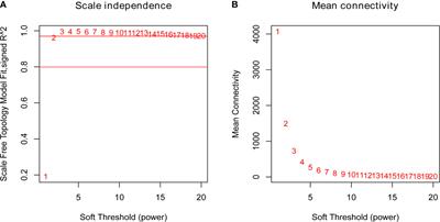 Identifying Potential Candidate Hub Genes and Functionally Enriched Pathways in the Immune Responses to Quadrivalent Inactivated Influenza Vaccines in the Elderly Through Co-Expression Network Analysis